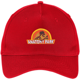 Rick & Morty Anatomy Park - Five Panel Twill Cap - Red / One Size- Hats -TeeEver.com