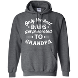 Men's Only The Best Dads Get Promoted To Grandpa Hoodie - TEEEVER - Dark Heather / S- Hoodies -TeeEver.com