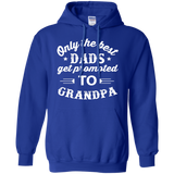 Men's Only The Best Dads Get Promoted To Grandpa Hoodie - TEEEVER - Royal / S- Hoodies -TeeEver.com