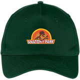 Rick & Morty Anatomy Park - Five Panel Twill Cap - Hunter / One Size- Hats -TeeEver.com