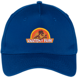 Rick & Morty Anatomy Park - Five Panel Twill Cap - Royal / One Size- Hats -TeeEver.com