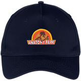Rick & Morty Anatomy Park - Five Panel Twill Cap - Navy / One Size- Hats -TeeEver.com